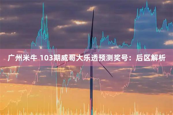 广州米牛 103期威哥大乐透预测奖号：后区解析